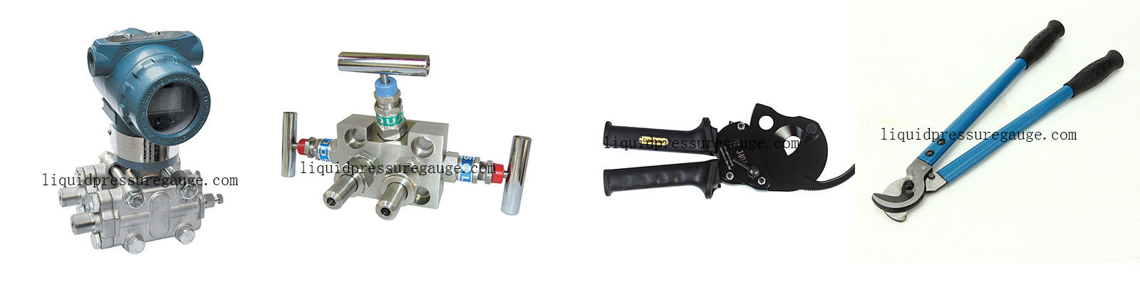 Enstrüman Manifold Valfi